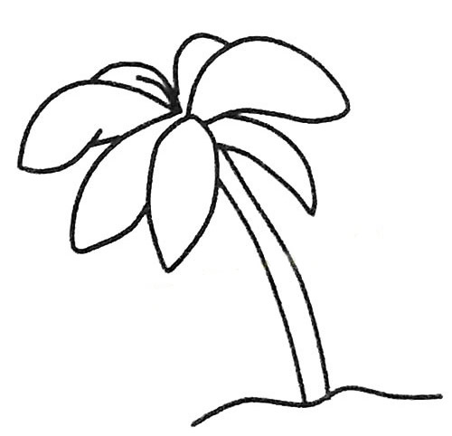 椰子树简笔画 简笔画大海椰子树 中级简笔画教程-第6张