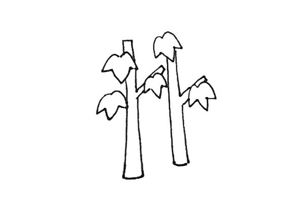 枫树简笔画,枫树的画法 中级简笔画教程-第6张