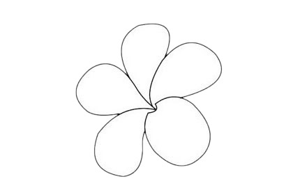 鸡蛋花分步骤简笔画画法 初级简笔画教程-第10张
