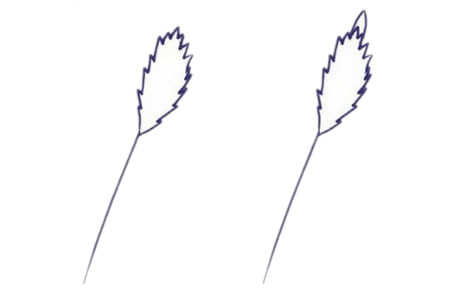 儿童简笔画薰衣草彩色画法 中级简笔画教程-第3张
