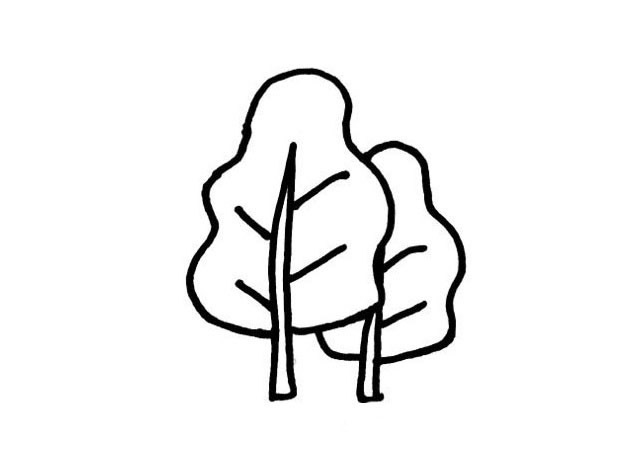 大树简笔画图画大全_大树的简单画法 植物-第4张