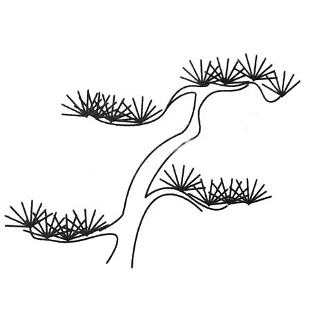松树的多种画法-松树简笔画图画大全 植物-第1张