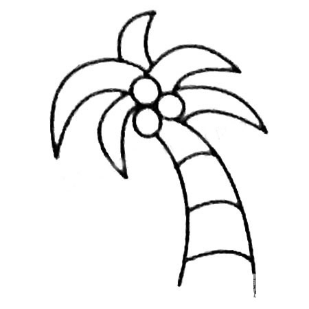 怎么画椰子树好看 简单椰子树画法 初级简笔画教程-第1张