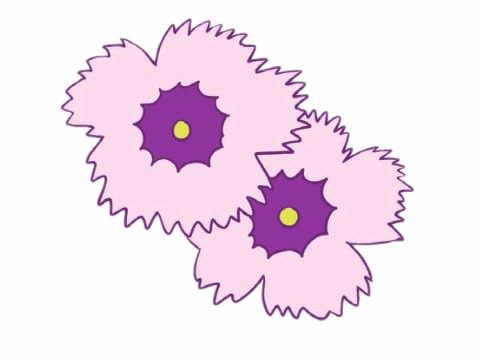 石竹花简笔画的画法 初级简笔画教程-第9张