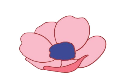 银莲花简笔画的画法,植物简笔画彩色 中级简笔画教程-第9张
