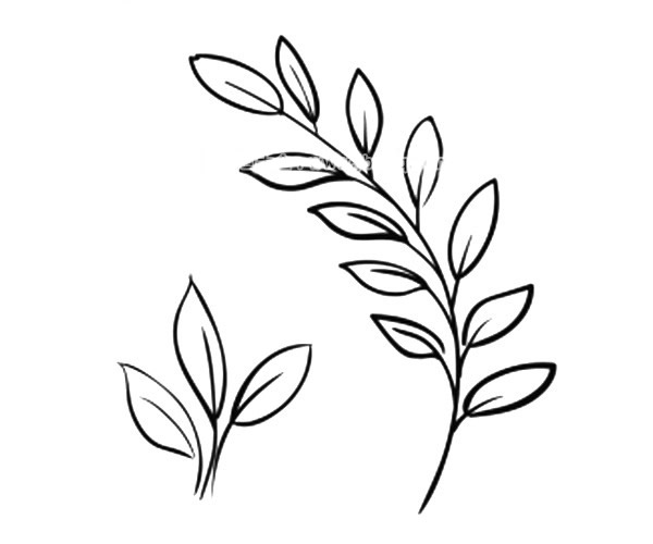 9款漂亮的叶子简笔画图画 叶子的简单画法大全 植物-第9张