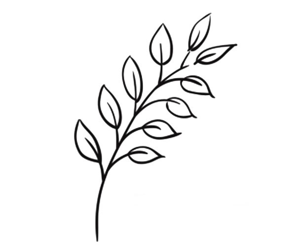 9款漂亮的叶子简笔画图画 叶子的简单画法大全 植物-第1张
