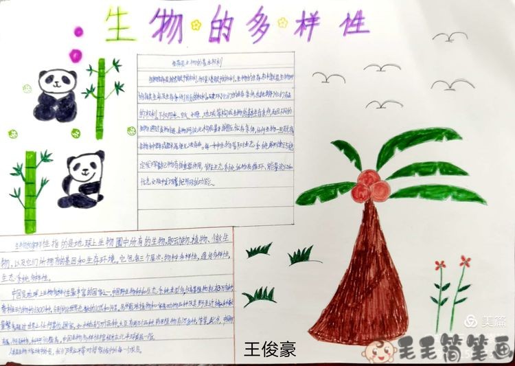 cop15主题简笔画图片