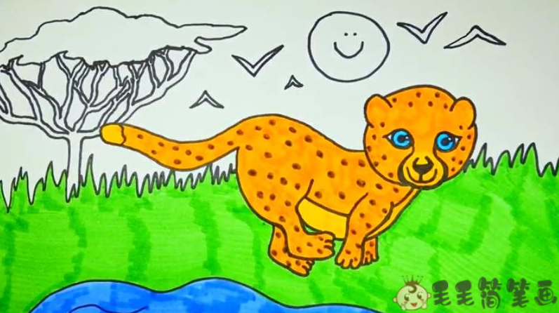 豹子简笔画彩色 画法图片