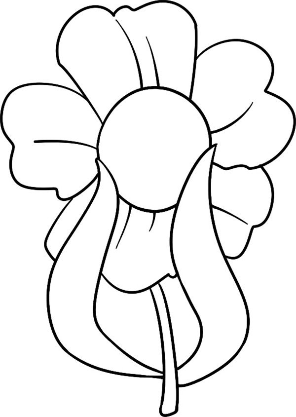 含羞的花儿简笔画 花朵线描画 中级简笔画教程-第4张