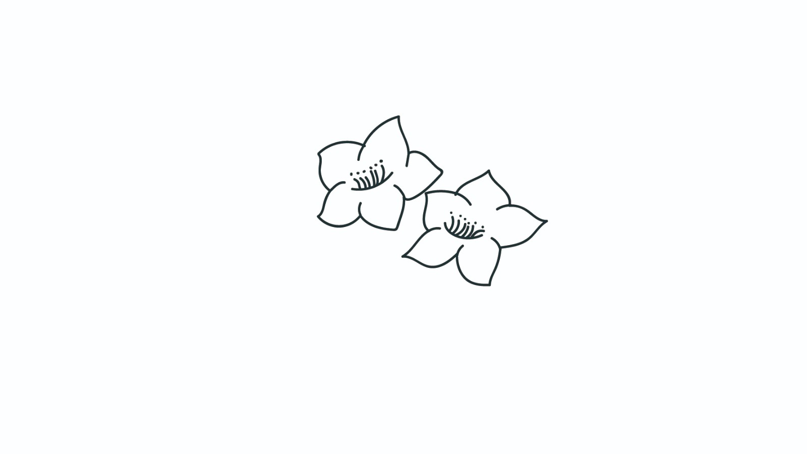 桃花简笔画怎么画 桃花简笔画步骤 中级简笔画教程-第2张
