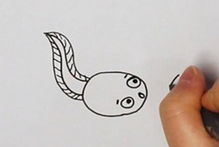 小蝌蚪的简笔画画法步骤图 中级简笔画教程-第2张