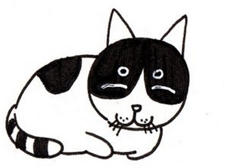 小猫咪简笔画 黑白色小猫简笔画图片 中级简笔画教程-第1张