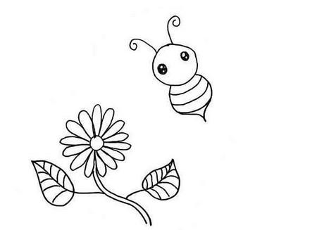 蜜蜂采蜜线描画教程 动物-第5张