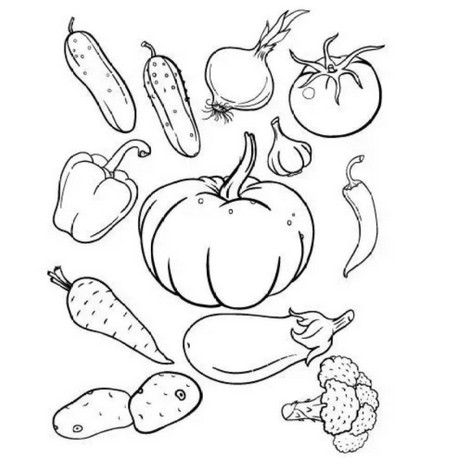 幼儿园蔬菜简笔画图片大全 中级简笔画教程-第7张