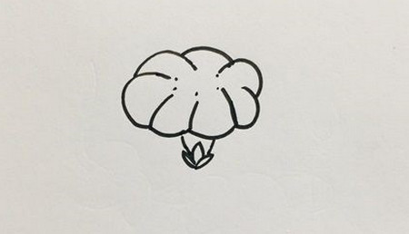 牵牛花怎么画简笔画又漂亮 中级简笔画教程-第2张