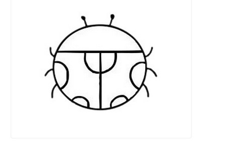 七星瓢虫线描画图片黑白色 初级简笔画教程-第1张