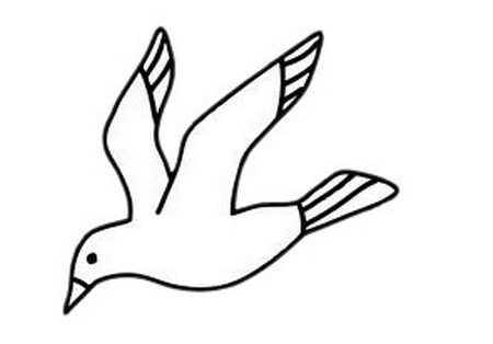 海鸥的爪子简笔画图片