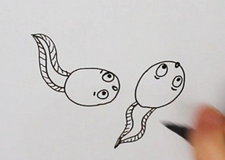 小蝌蚪的简笔画画法步骤图 中级简笔画教程-第3张