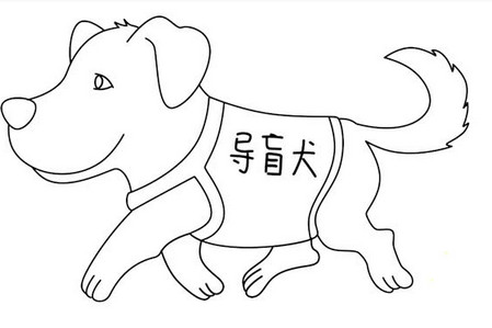 导盲犬黑白线描画图片 中级简笔画教程-第1张