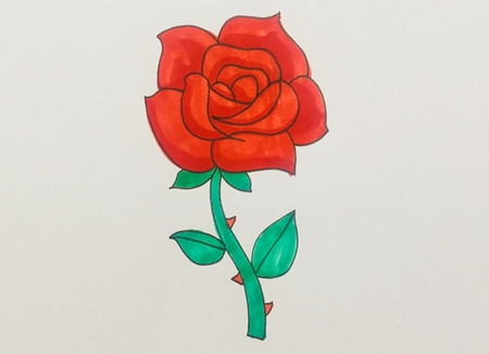 盛开玫瑰花的画法步骤图解 中级简笔画教程-第1张