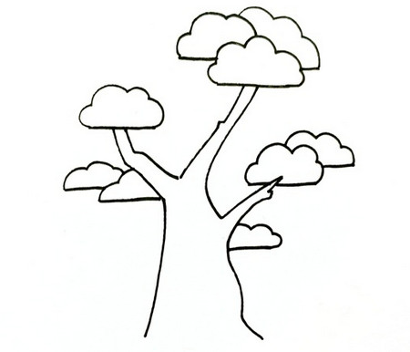 松树的树枝简笔画图片