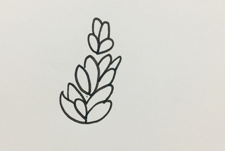 薰衣草简笔画步骤图解 中级简笔画教程-第3张