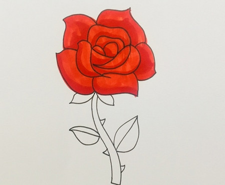 盛开玫瑰花的画法步骤图解 中级简笔画教程-第5张