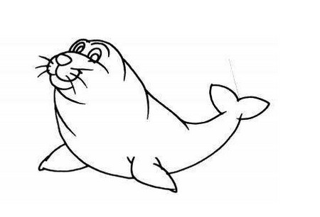 可爱的小海豹简笔画图片大全 中级简笔画教程-第6张
