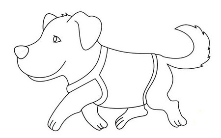 导盲犬黑白线描画图片 中级简笔画教程-第6张