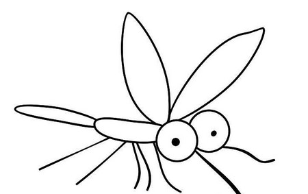 蚊子怎么画简笔画 中级简笔画教程-第4张