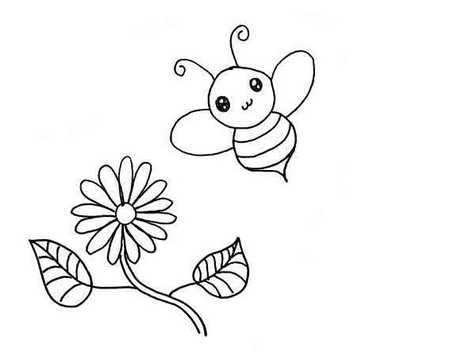 蜜蜂采蜜线描画教程 动物-第6张