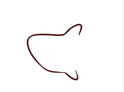 如何画鲨鱼简笔画步骤 中级简笔画教程-第2张