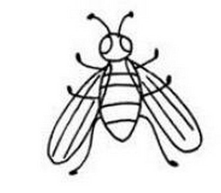 小蜜蜂简笔画图片大全可爱 中级简笔画教程-第6张