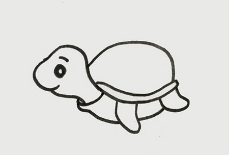 海龟怎么画简笔画图片 中级简笔画教程-第3张
