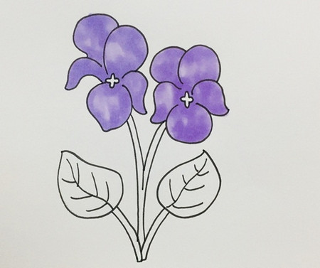 紫色花朵简笔画 鲜花幼儿简笔画 中级简笔画教程-第5张