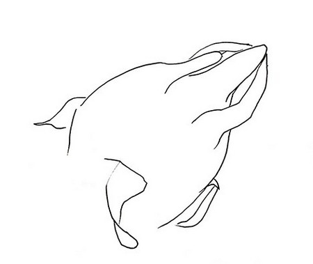 火龙果简笔画怎么画 中级简笔画教程-第3张
