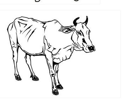 简单好画的牛简笔画图片大全 中级简笔画教程-第3张