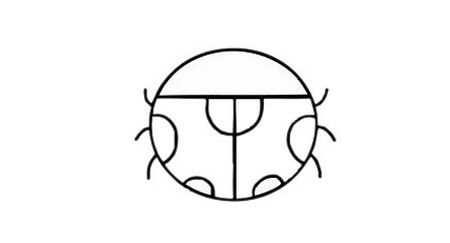 七星瓢虫线描画图片黑白色 初级简笔画教程-第6张