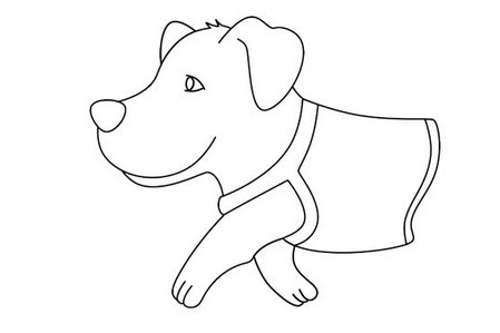 导盲犬黑白线描画图片 中级简笔画教程-第5张