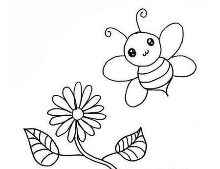 蜜蜂采蜜线描画教程 动物-第1张
