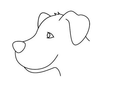 导盲犬黑白线描画图片 中级简笔画教程-第3张