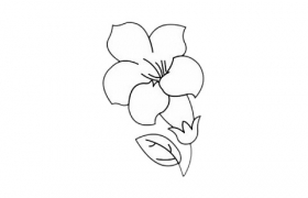 玉兰花简笔画儿童简笔画玉兰花步骤图