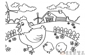农场里的母鸡和小鸡简笔画图片