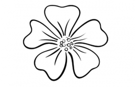 六种漂亮的花瓣花朵简笔画图片