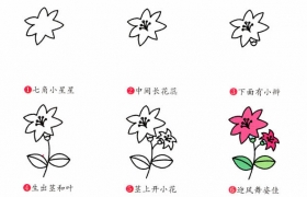 简笔画面条的简单画法面条简笔画步骤画法教程