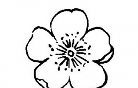 桃花简笔画黑白线稿