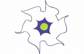 曼陀罗花简笔画,的画法步骤教程及图片大全