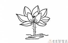 池塘里盛开的荷花简笔画